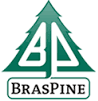 Braspine